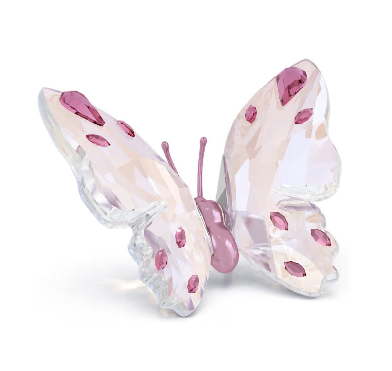 Swarovski Idyllia Butterfly Small 5691959