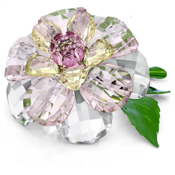 Swarovski Florere Camellia 5721538